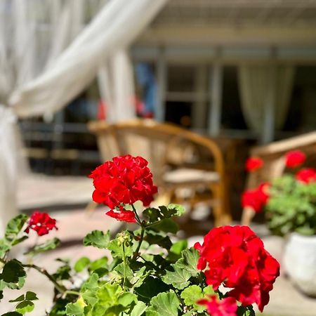 Hotel San Pietro Червия Экстерьер фото